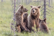 180_Finnland_2025