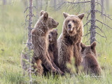 160_Finnland_2025
