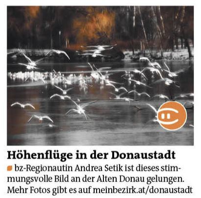 BZ_01.2015_Alte Donau_2