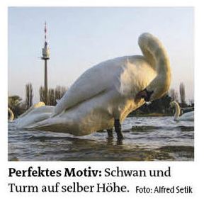 Bezirkszeitung_Ausgabe 38_2016_Teil 3
