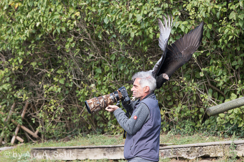 Canon EOS 7D Mark II; EF70-200mm f/2.8L IS II USM; 200 mm; 1/1600 Sek. bei f / 5,6; 
