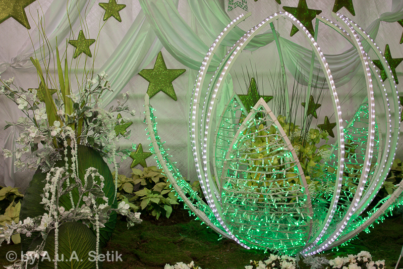 Canon EOS 7D Mark II; EF24-70mm f/2.8L II USM; 26 mm; 1/100 Sek. bei f / 5,6; 