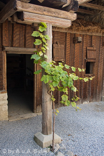 Canon EOS 40D; 18-250mm; 24 mm; 1/160 Sek. bei f / 8,0; 