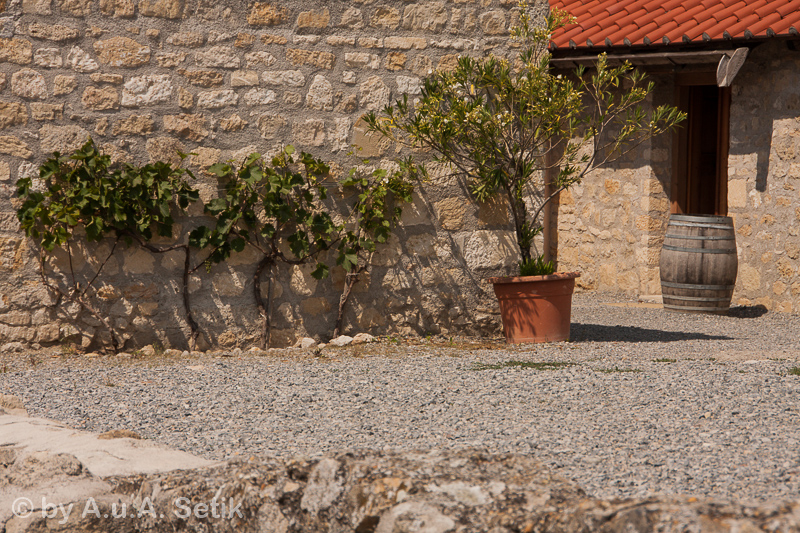 Canon EOS 40D; 18-250mm; 95 mm; 1/800 Sek. bei f / 9,0; 