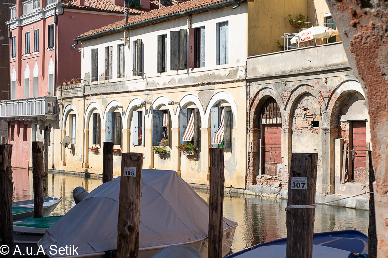 Canon EOS 7D Mark II; 50mm F1.4 DG HSM | Art 014; 50 mm; 