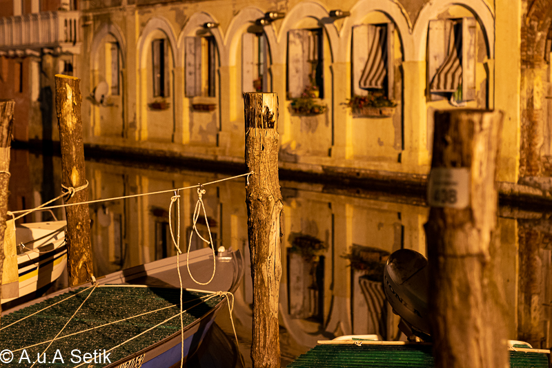 Canon EOS 7D Mark II; 50mm F1.4 DG HSM | Art 014; 50 mm; 