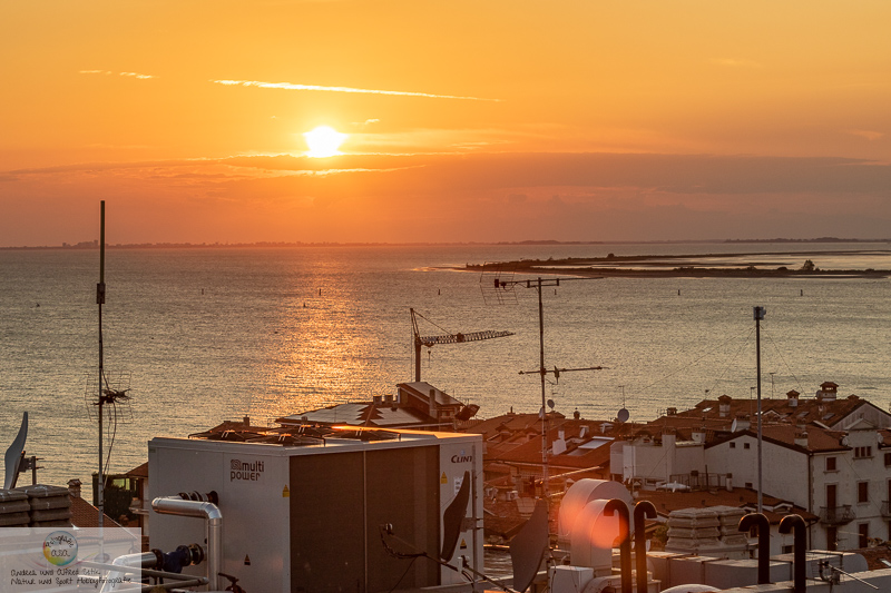 Canon EOS 7D Mark II, EF70-200mm f/2.8L IS II USM, 70 mm, 1/640 Sek. bei f / 7,1