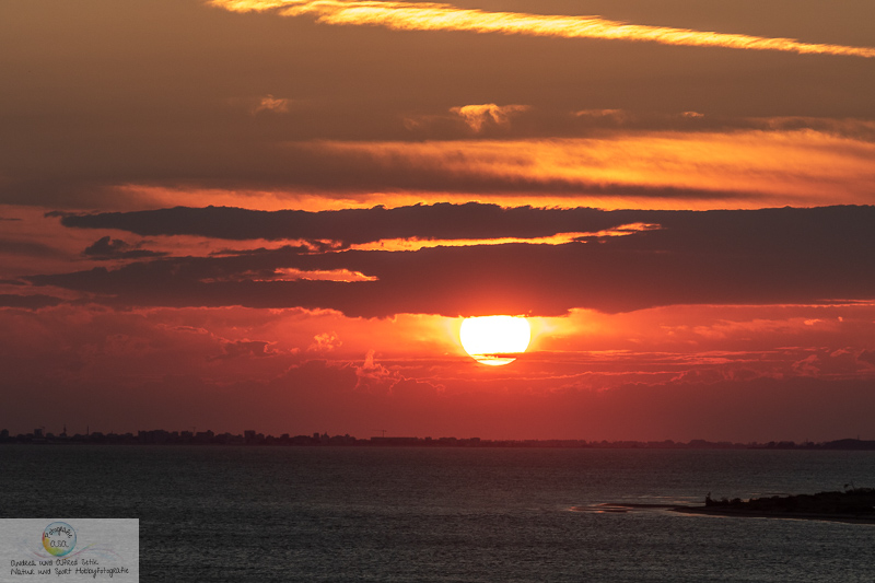 Canon EOS 7D Mark II, EF70-200mm f/2.8L IS II USM, 200 mm, 1/800 Sek. bei f / 7,1