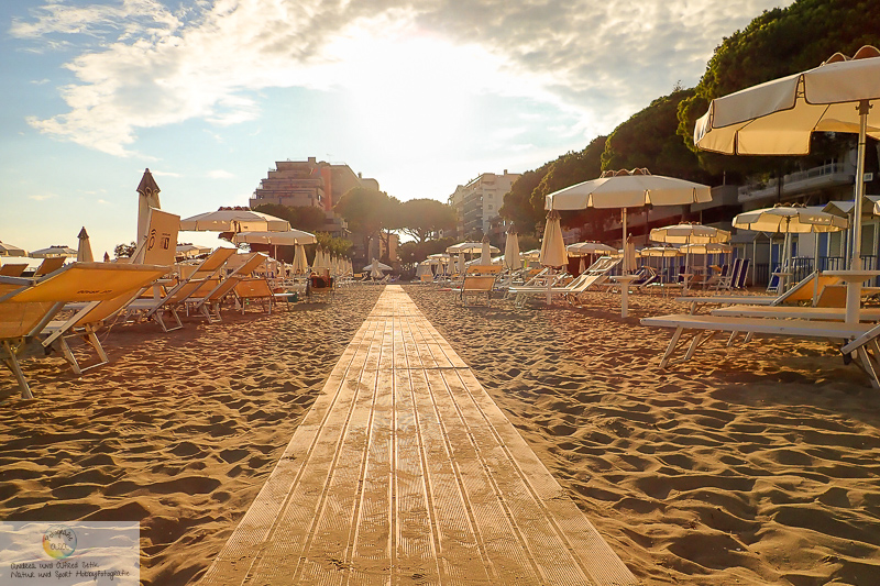 TG-5, , 4.5 mm, 1/400 Sek. bei f / 8,0