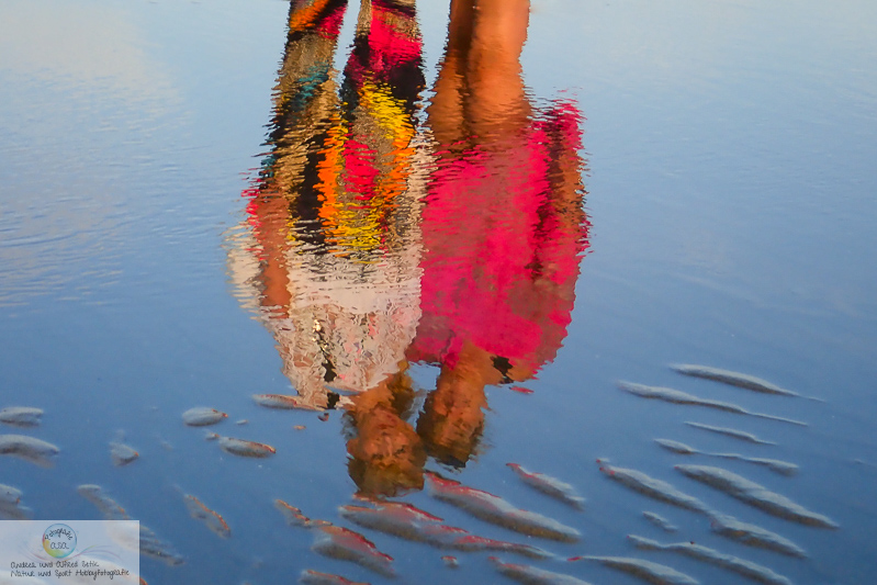 TG-5, , 18 mm, 1/125 Sek. bei f / 6,3