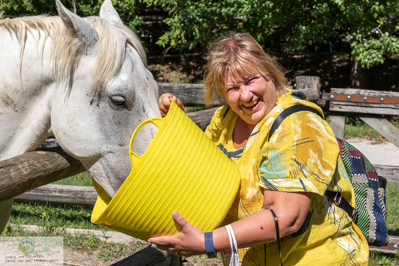 Canon EOS 7D Mark II, 18-200mm, 46 mm, 1/2000 Sek. bei f / 8,0