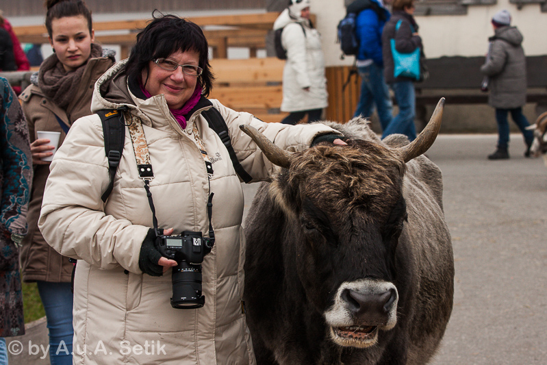 Canon EOS 40D; EF70-200mm f/2.8L IS II USM; 75 mm; 1/250 Sek. bei f / 5,6; 