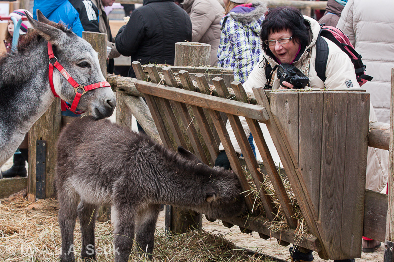 Canon EOS 40D; EF70-200mm f/2.8L IS II USM; 80 mm; 1/160 Sek. bei f / 5,6; 