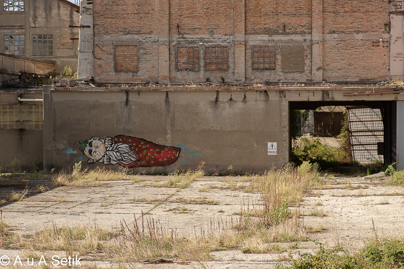 Canon EOS 7D Mark II; EF24-70mm f/2.8L II USM; 70 mm; 