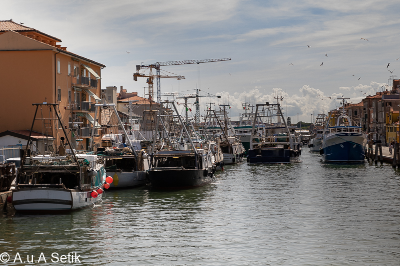 Canon EOS 7D Mark II; EF24-70mm f/2.8L II USM; 45 mm; 