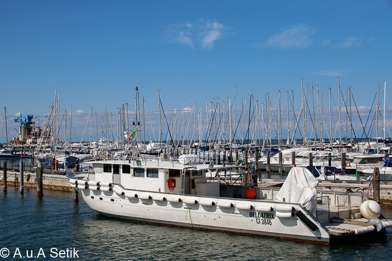 Canon EOS 7D Mark II; 18-200mm; 33 mm; 