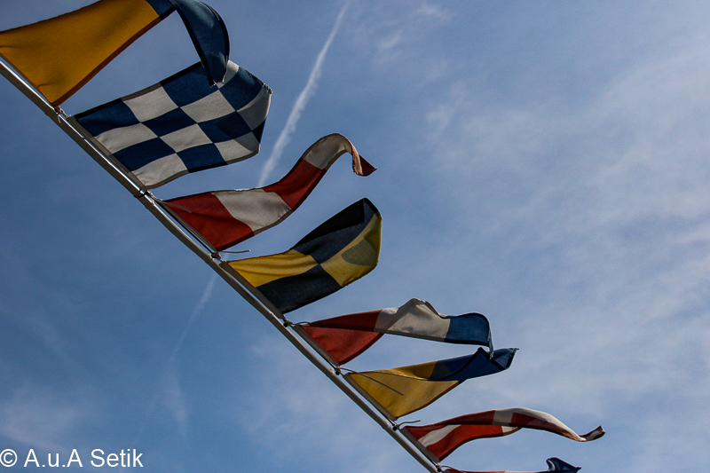 Canon EOS 7D Mark II; 18-200mm; 46 mm; 