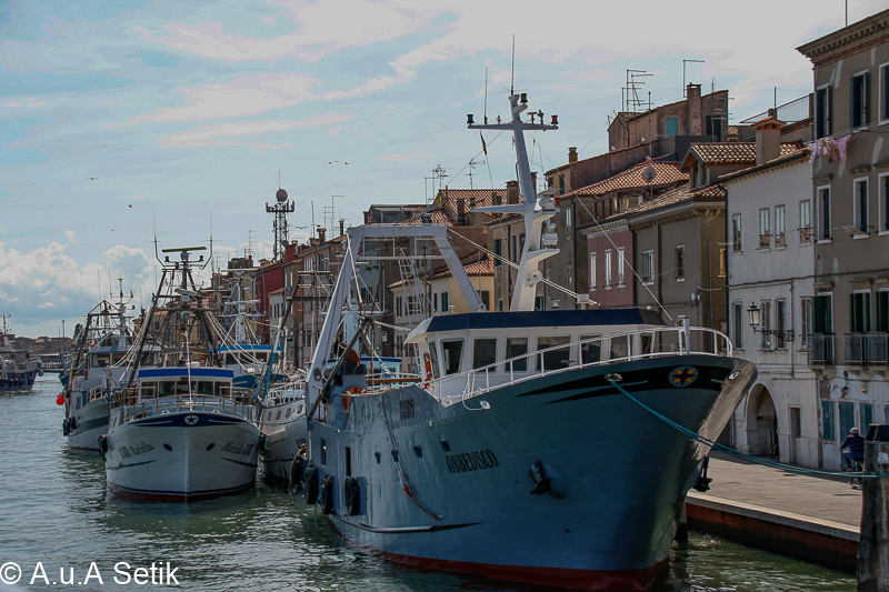 Canon EOS 7D Mark II; 18-200mm; 54 mm; 