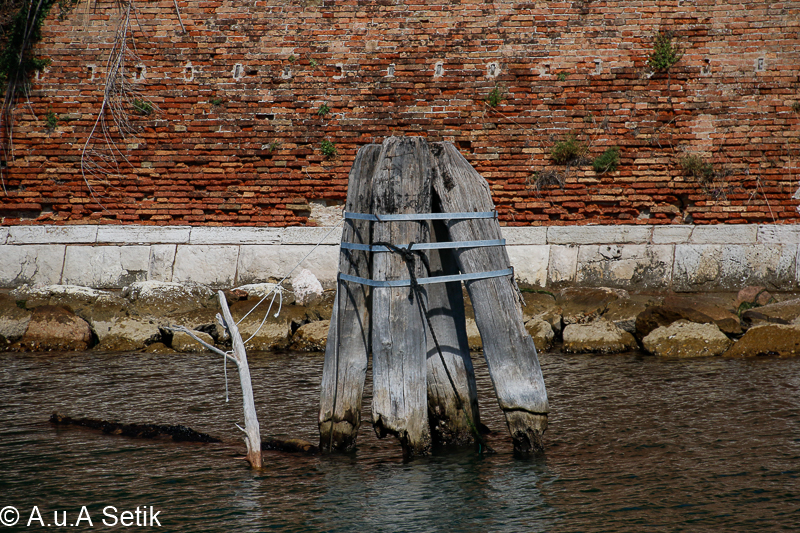 Canon EOS 7D Mark II; 18-200mm; 170 mm; 