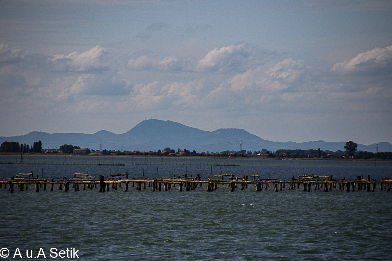 Canon EOS 7D Mark II; 18-200mm; 200 mm; 