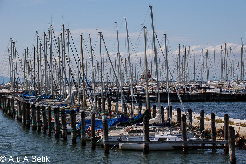 Canon EOS 7D Mark II; 18-200mm; 75 mm; 