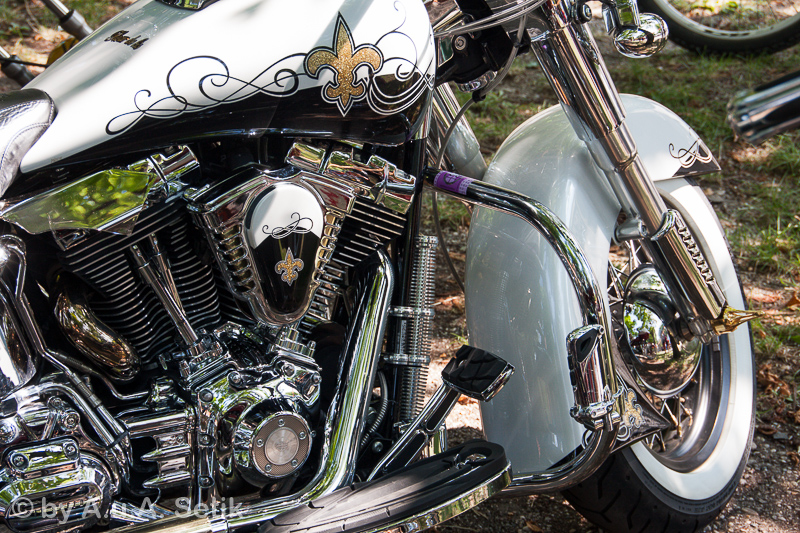 Canon EOS 40D; 18-250mm; 50 mm; 1/100 Sek. bei f / 6,3; 