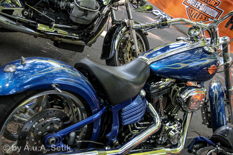 Canon EOS 600D; 18-200mm; 35 mm; 1/500 Sek. bei f / 4,5; 