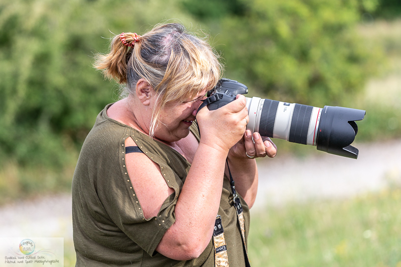 Canon EOS-1D X, EF100-400mm f/4.5-5.6L IS II USM, 170 mm, 1/640 Sek. bei f / 5,0