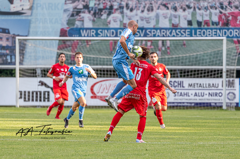Canon EOS-1D X Mark II, EF100-400mm f/4.5-5.6L IS II USM, 360 mm, 1/1600 Sek. bei f / 5,6
