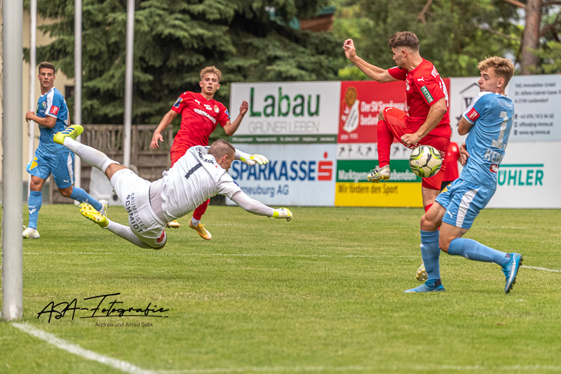 Canon EOS-1D X Mark II, EF100-400mm f/4.5-5.6L IS II USM, 263 mm, 1/1600 Sek. bei f / 5,0