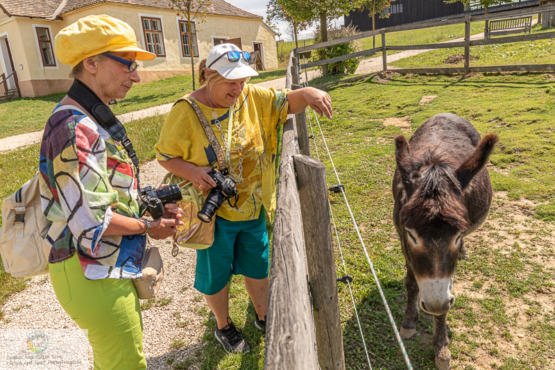 Canon EOS 7D Mark II, TAMRON SP 15-30mm F/2.8 Di VC USD A012, 16 mm, 1/500 Sek. bei f / 7,1