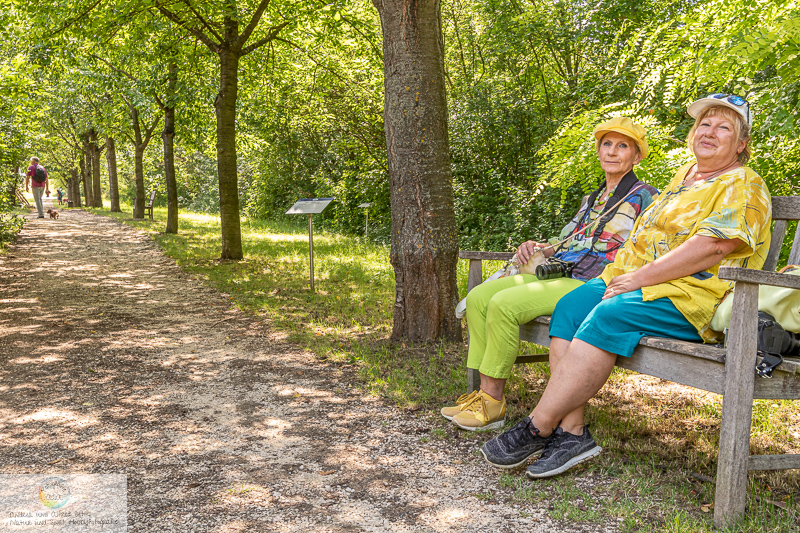 Canon EOS 7D Mark II, TAMRON SP 15-30mm F/2.8 Di VC USD A012, 23 mm, 1/40 Sek. bei f / 8,0