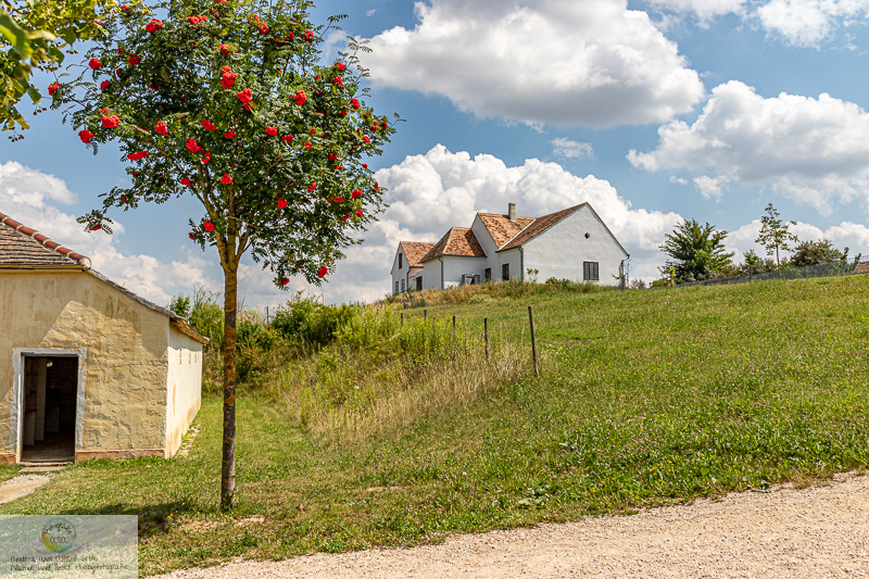 Canon EOS 7D Mark II, 18-200mm, 21 mm, 1/1000 Sek. bei f / 8,0