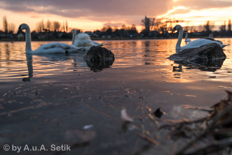 Canon EOS 7D Mark II; TAMRON SP 15-30mm F/2.8 Di VC USD A012; 23 mm; 1/640 Sek. bei f / 2,8; 