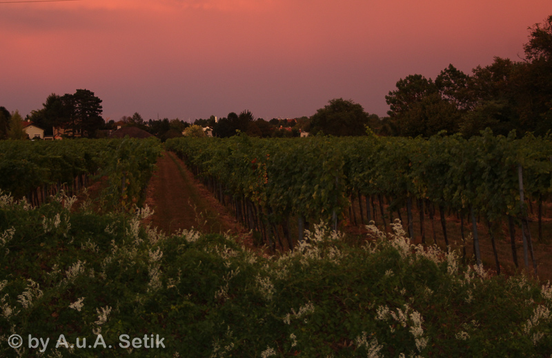 Canon EOS 600D; 18-200mm; 51 mm; 1/60 Sek. bei f / 5,0; 