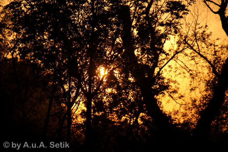 Canon EOS 600D; 18-200mm; 154 mm; 1/640 Sek. bei f / 6,3; 