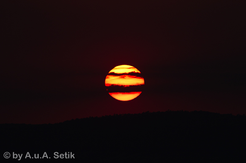 Canon EOS 7D Mark II; EF100-400mm f/4.5-5.6L IS USM; 400 mm; 1/800 Sek. bei f / 9,0; 