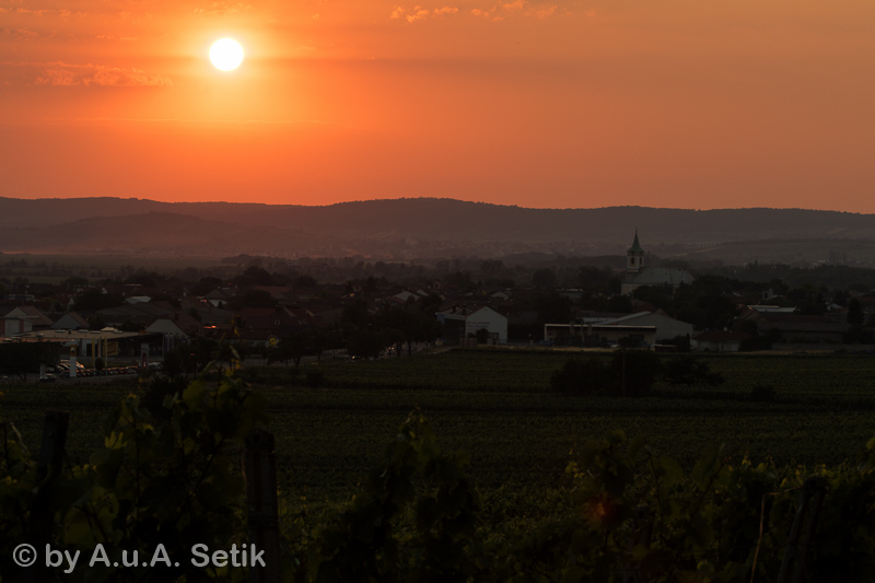 Canon EOS 7D Mark II; EF70-200mm f/2.8L IS II USM; 90 mm; 1/100 Sek. bei f / 10; 