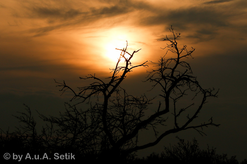 Canon EOS 7D Mark II; EF70-300mm f/4.5-5.6 DO IS USM; 100 mm; 1/5000 Sek. bei f / 8,0; 