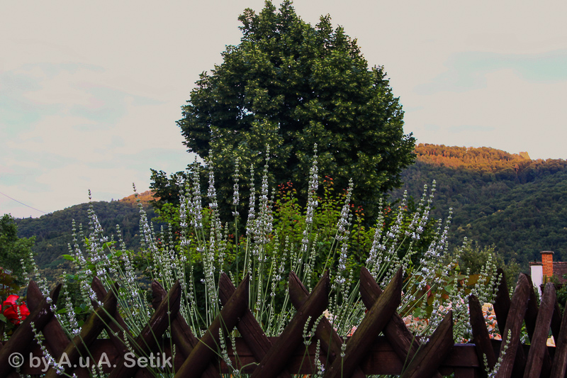 Canon EOS 600D; 18-200mm; 42 mm; 1/20 Sek. bei f / 11; 