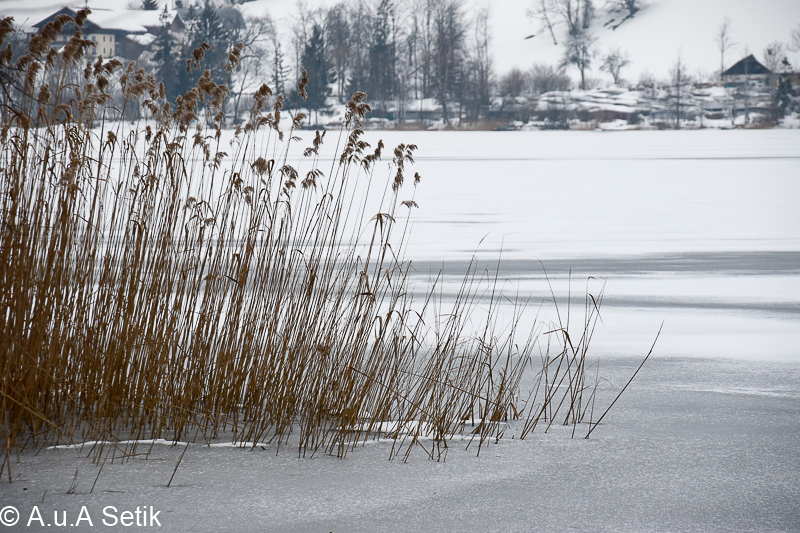 Canon EOS 7D Mark II; 18-200mm; 125 mm; 1/1250 Sek. bei f / 7,1